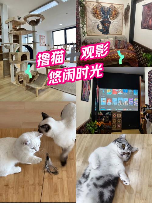 久久偷拍片久久的相关介绍