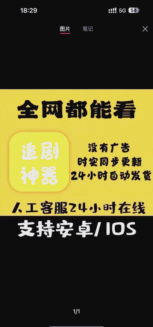 调教骚货(h/双性)的相关介绍