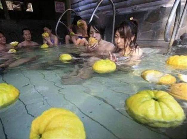 调教文高h的相关介绍