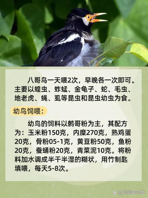 av.熟妇的相关介绍