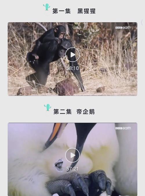 欧美xxxxx熟妇的相关介绍