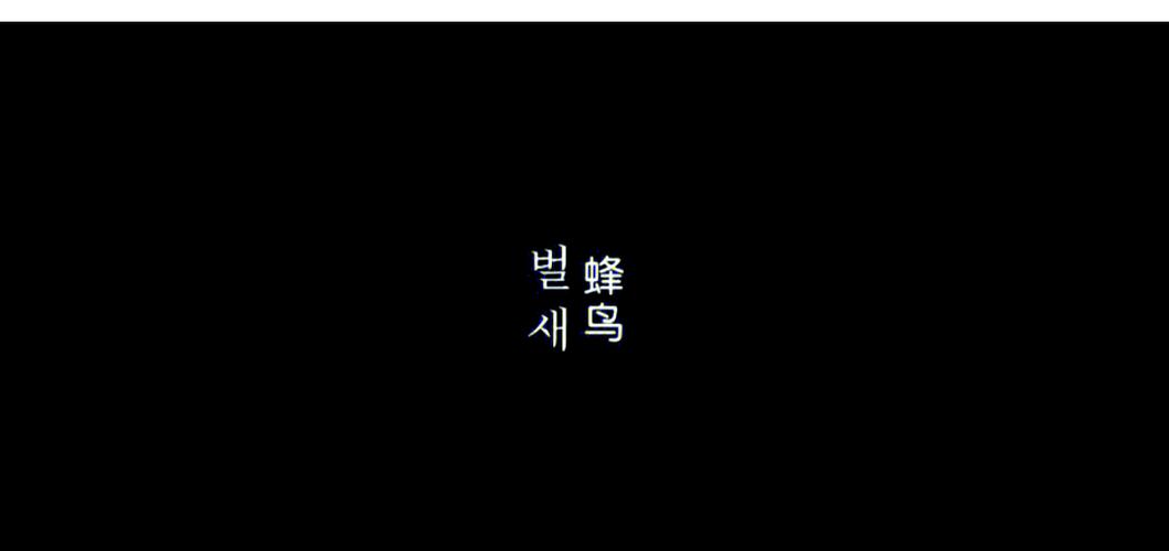 光根电影院yy11111推荐的相关介绍