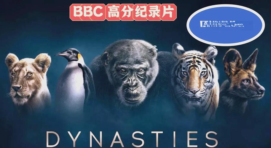 大鸡鸡影院的相关介绍