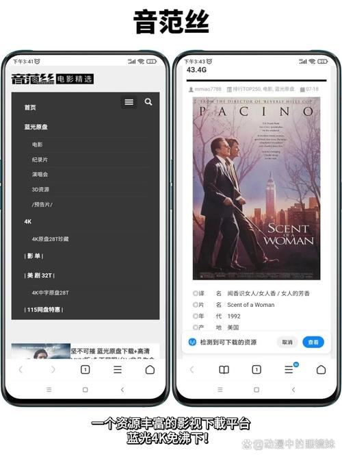 欧美18p大尺度的相关介绍