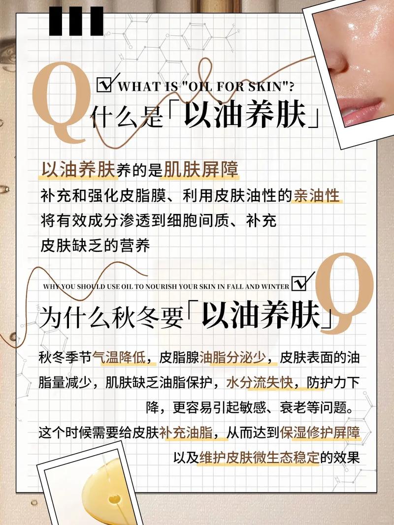 月光影院免费视频的相关介绍