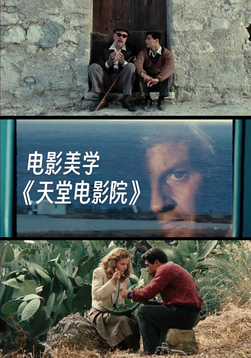 新视觉影院手机版的相关介绍
