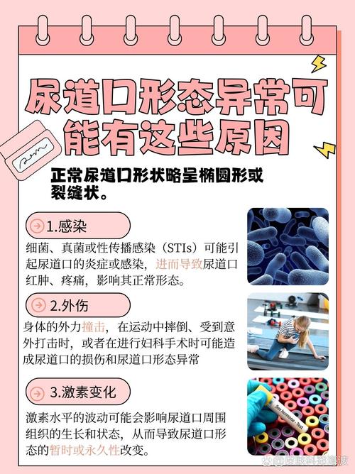 97电影院不要下载播放器的相关介绍