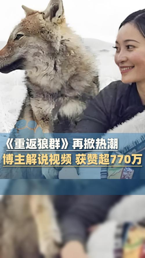 上海天山电影院的相关介绍