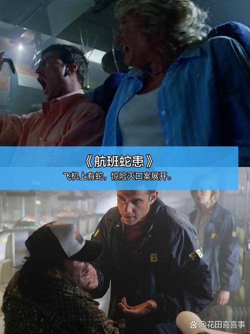 久久av一级av少妇av高潮的相关介绍