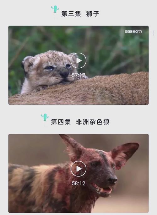 91呻吟人妻91啪的相关介绍