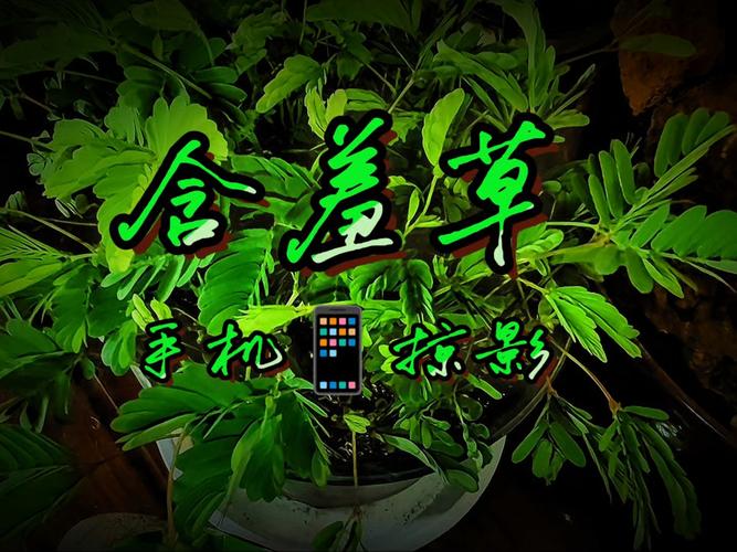 天龙高清影院的相关介绍