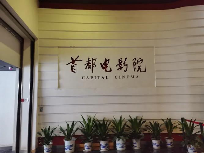 观看免费视频下载app软件有哪些的相关介绍