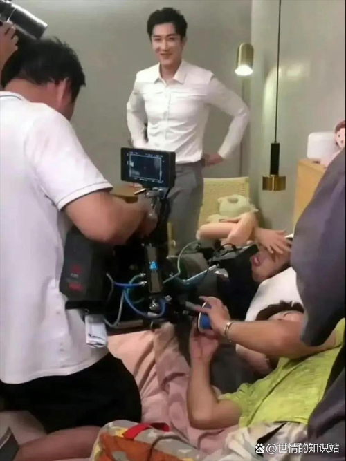 博艺影院的相关介绍