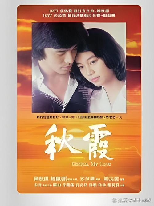 鲁大妈影院的相关介绍