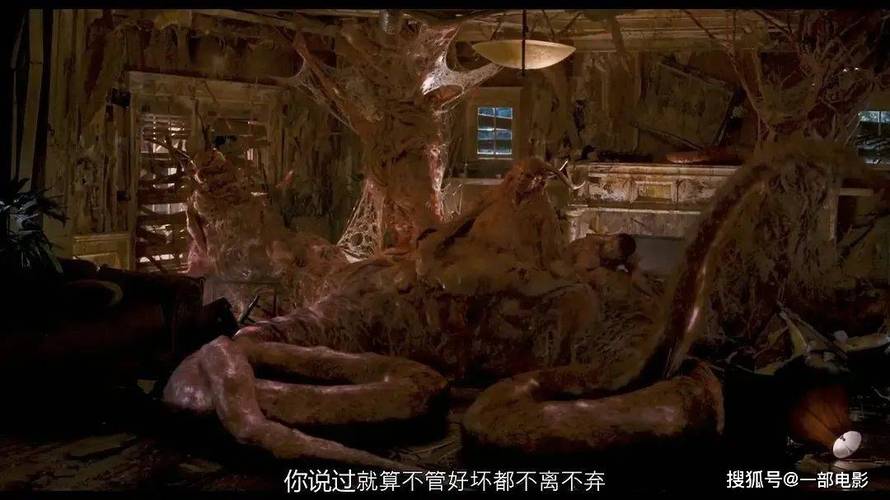 操的喷白浆的相关介绍