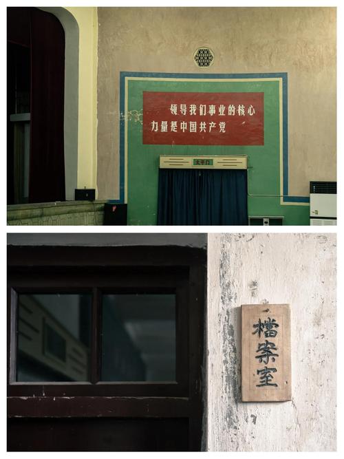 黄鳝女主播完整视频天狼影院的相关介绍