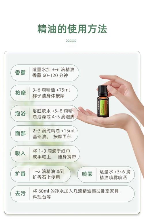 人妻偷腥记(h)小说的相关介绍