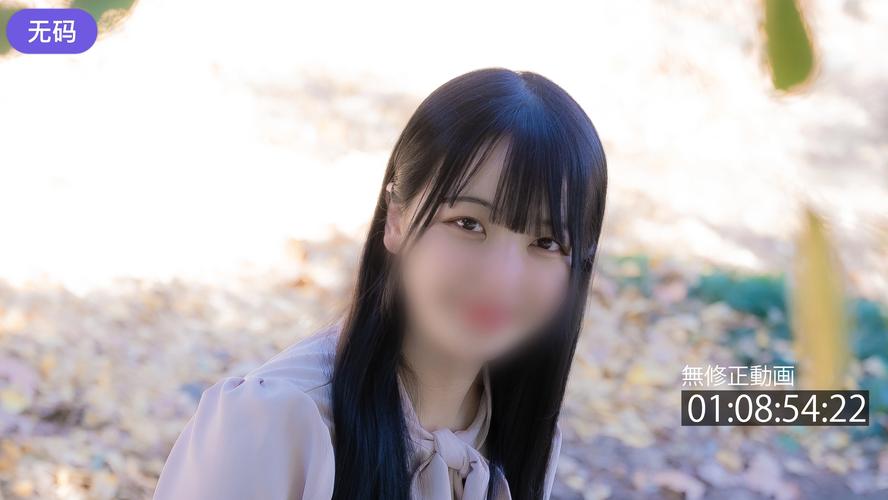 成人国产欧美在线观看的相关介绍