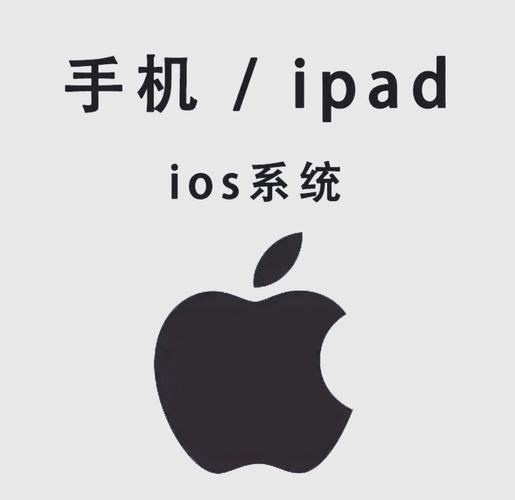 可以下载任何视频的app的相关介绍