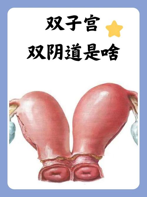 悟空影院神马影院的相关介绍