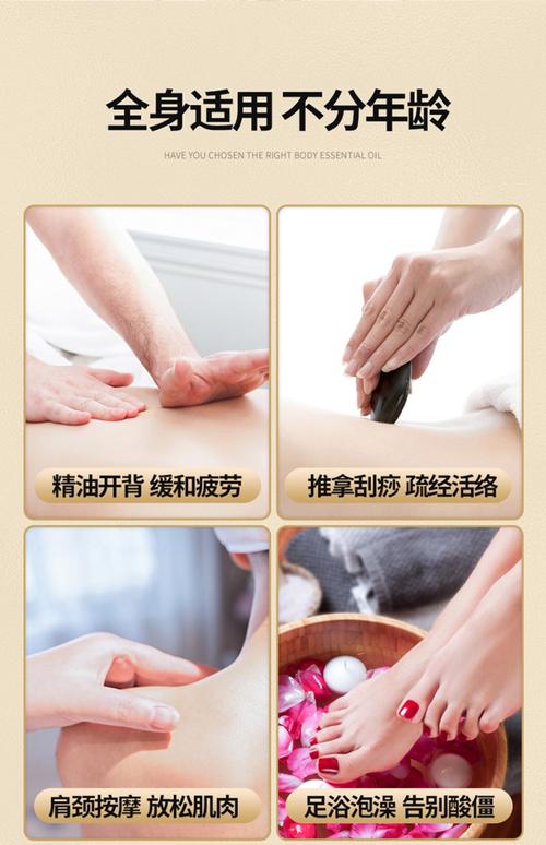 6090青苹果电影院手机版的相关介绍