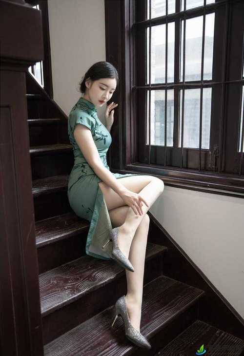 亚洲av一区二区少妇白浆的相关介绍