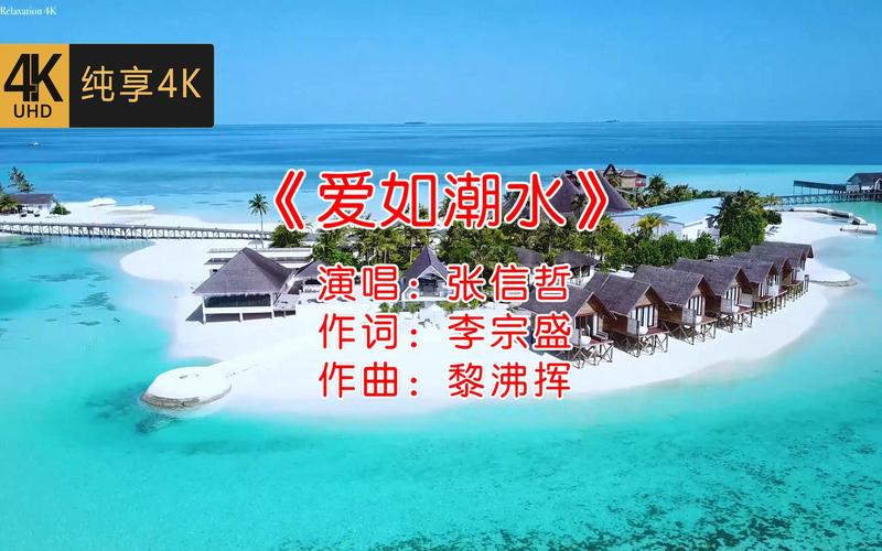 人妻中文啪啪啪的相关介绍