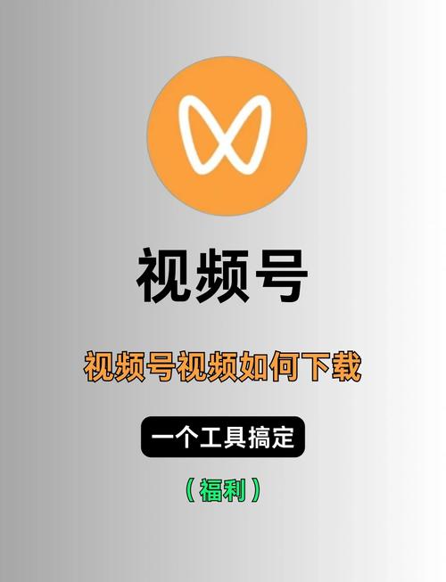 秋霞电影院网的相关介绍