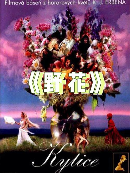 年满18的借款app的相关介绍