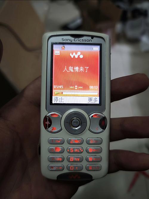 高清毛片aaaaaaaaa片的相关介绍