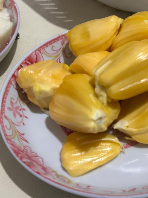 月光影院在线观看免费版高清的相关介绍