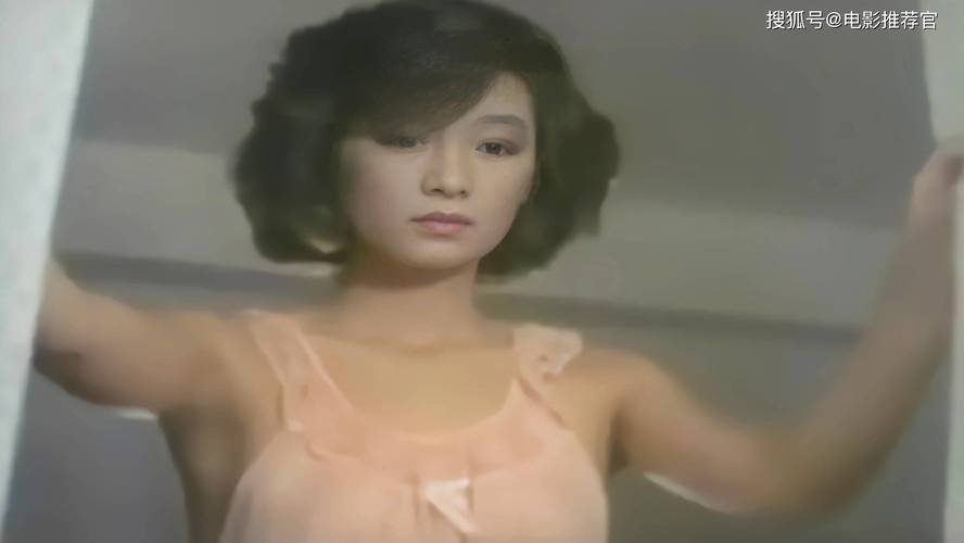 青鸟影院网的相关介绍