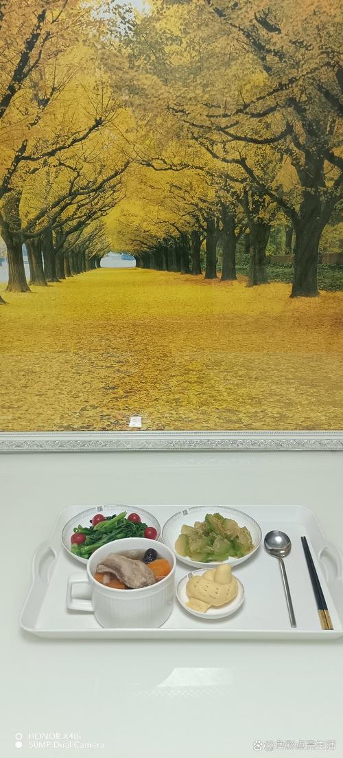 神马午夜七度影院的相关介绍
