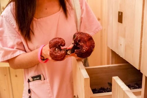人妻少妇精品专区性色av的相关介绍
