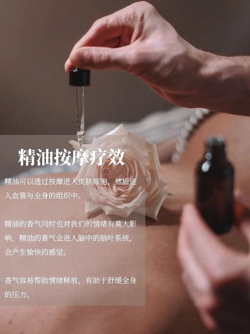 诱惑的女秘书的相关介绍