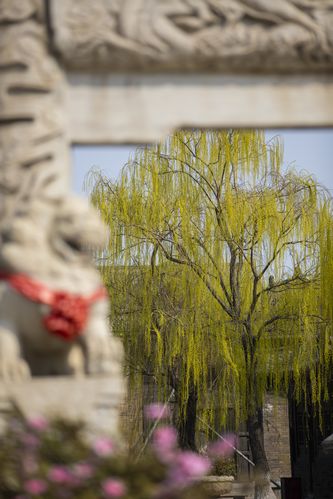 激情片久的相关介绍