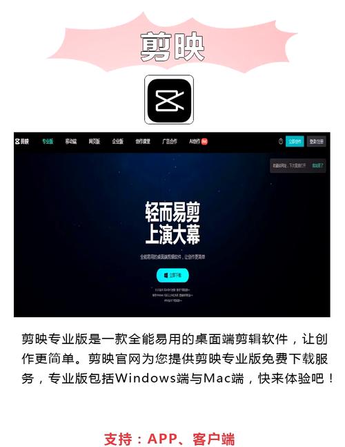 新世纪电影院的相关介绍
