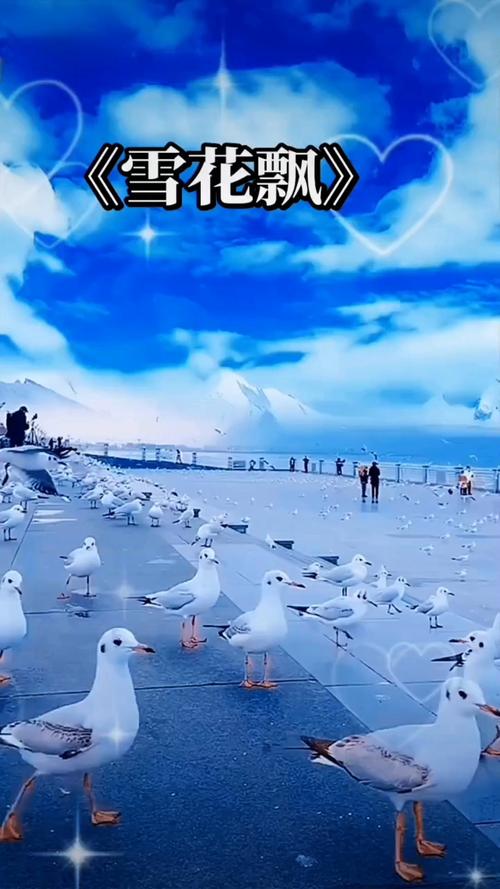 91传媒麻豆的相关介绍