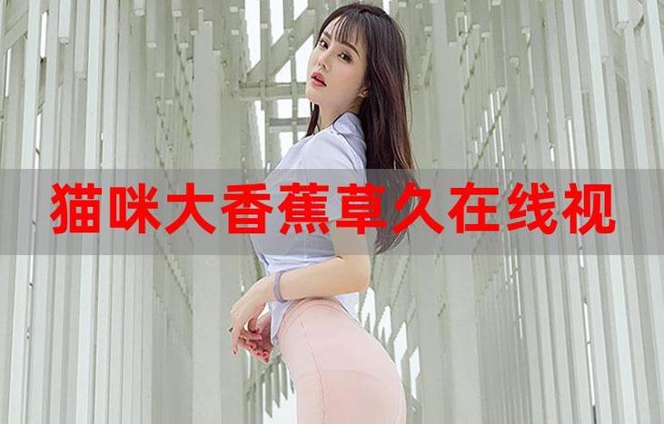 万全影院的相关介绍