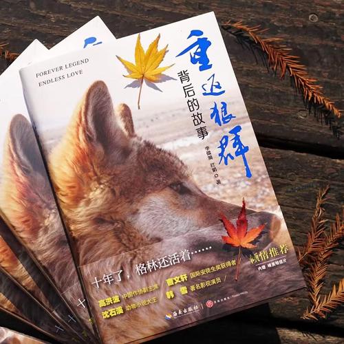 灰狼电影院的相关介绍