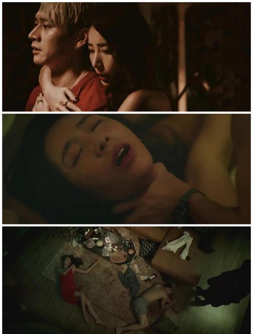 日本熟妇伦理的相关介绍