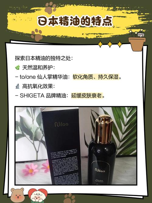 蓝雨影院的相关介绍