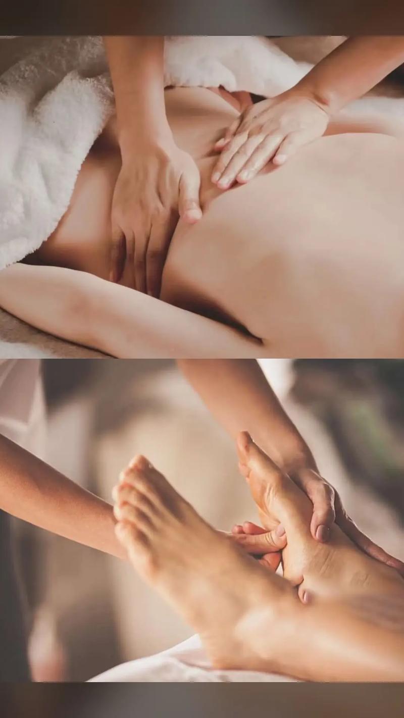 美女动漫黄的相关介绍