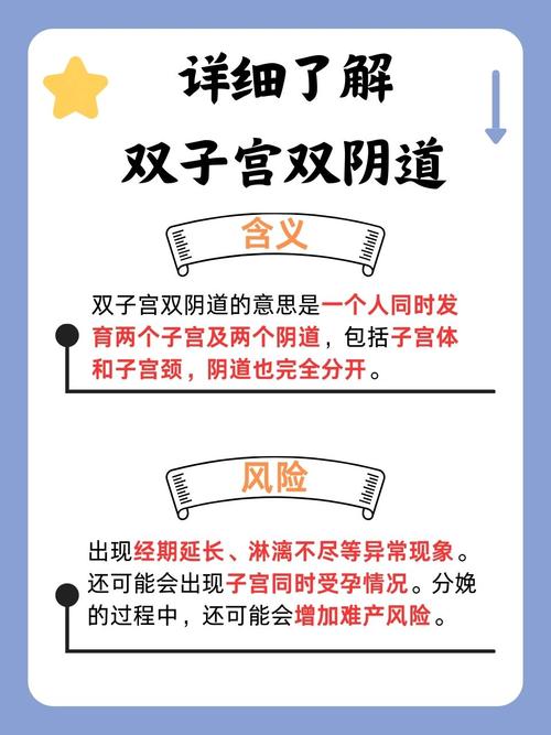 欧美午夜精品人妻的相关介绍