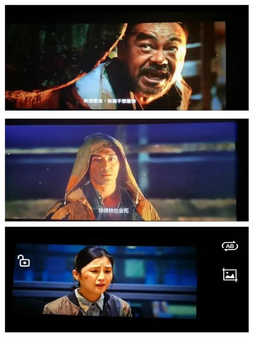 四虎成人影院的相关介绍