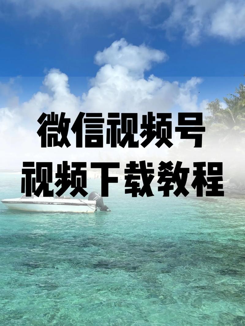 黑木耳影院的相关介绍