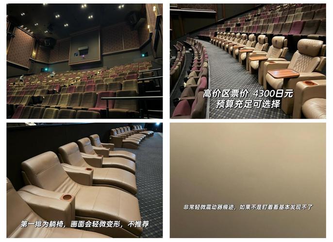 柴犬一片一片的掉毛的相关介绍