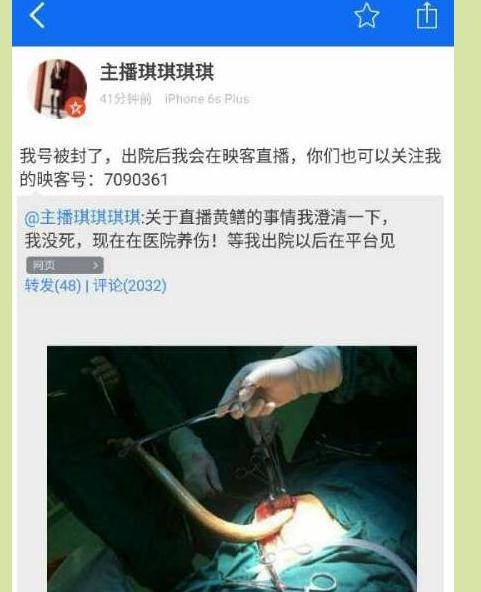 欧美熟妇欲的相关介绍