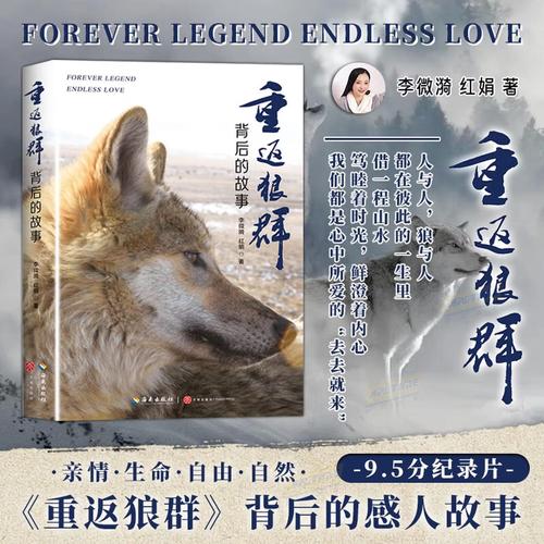 夫妻看的毛片的相关介绍