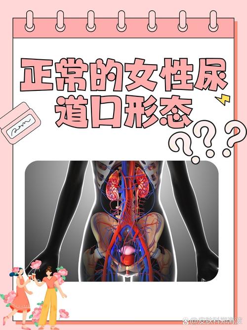 白丝美女被我操的相关介绍